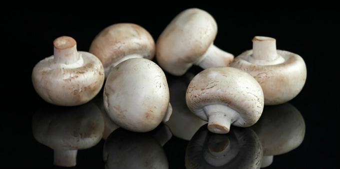 Grybai - pievagrybių mushroomy