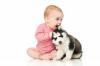 Šuo ir kūdikis: abipusio prisitaikymo taisyklės