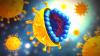 Hepatito C viruso: kaip išvengti infekcijos?
