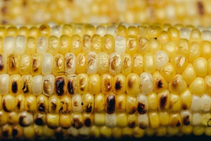 Kaip užšaldyti kukurūzus vasarą: geriausi patarimai