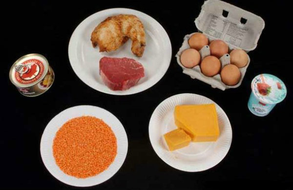 Baltymų maisto produktų - baltymų maisto