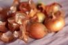 5 senovės receptus iš svogūnų odos jūsų grožiui ir sveikatai