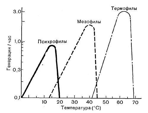 išlikimo mikroorganizmų lentelė net termofilus (tiems, kurie, kaip ji karšta) nustoja daugintis ir miršta 60 laipsnių.