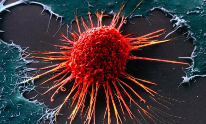 Vėžys ląstelių
