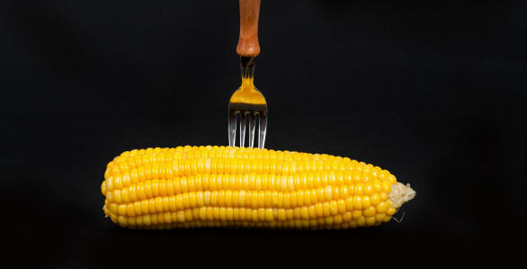 Kukurūzų - kukurūzai