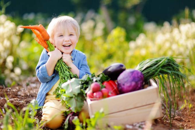 Dažniausiai naudojamų produktų kalorijų lentelė