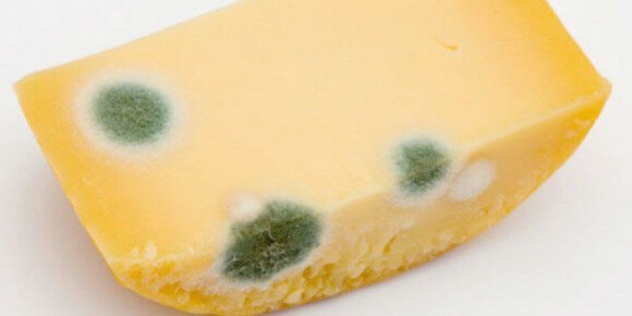 sugedęs sūris