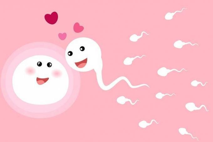 Kiaušialąstė pasirenka spermos apvaisinimo, o ne atvirkščiai: mokslininkus