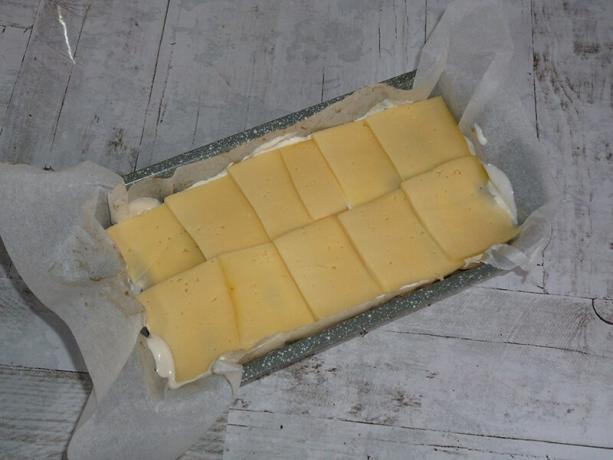 sūris