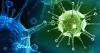 Virusai: Kiek mūsų kūno kovoja su jais?