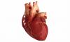 Simptomai ir pirmoji pagalba ūmaus miokardo infarkto