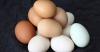 Išsklaidė prieštaringo žalos kiaušinių mitą
