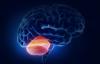 A smegenėlių auglys: patologijos simptomai