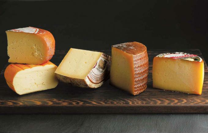 Geltona Čederio sūrio - Čederio sūris