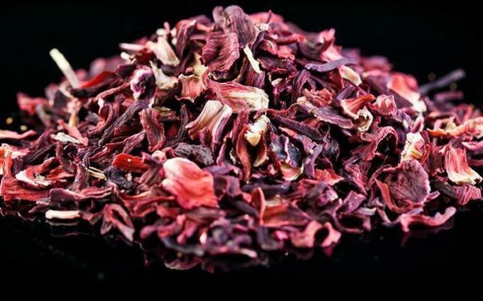 Arbata Hibiscus - Hibiscus arbata