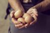 Viskas, ką norėjote žinoti apie vištienos kiaušinius: 5 esminiai faktai